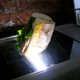 Illustration for article titled The Genius Behind Scanwiches.com's Juicy Sandwich Porn